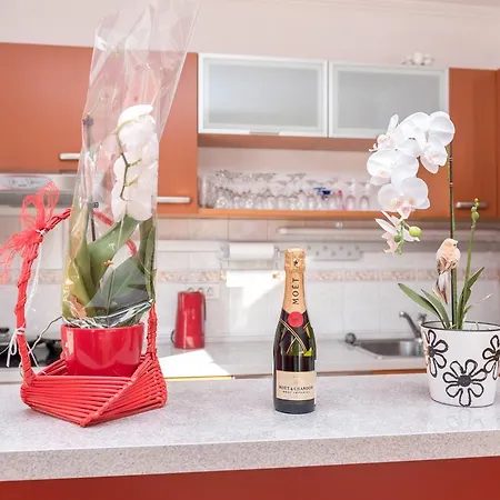 Vila Snjezana 特罗吉尔