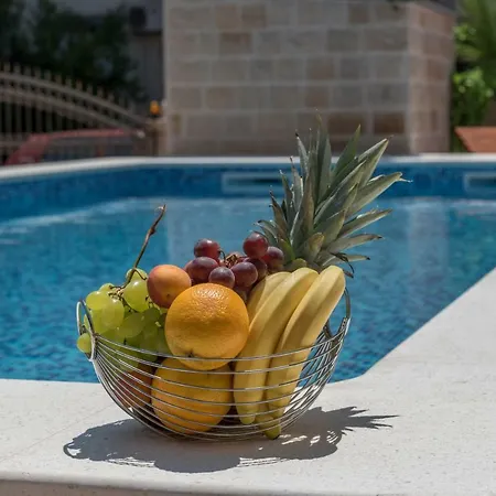 Vila Snjezana 特罗吉尔